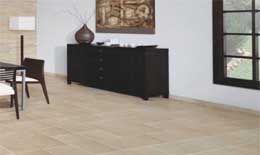 2009ǌ(du)Ї(gu)ÿһ(g)I(y)ġȫwz