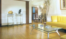 2009ذИI(y)l(f)չ΄(sh)֔(jn)(l)^